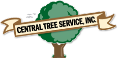 Central Tree Service, INC.
